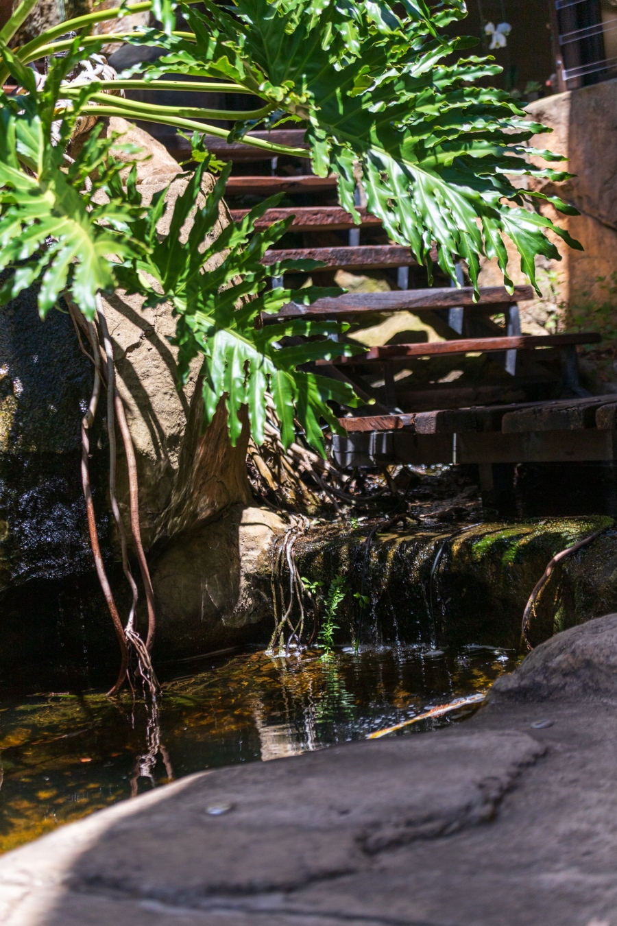 5 Bedroom Property for Sale in Pezula Golf Estate Western Cape